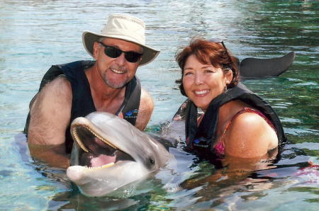 Dolphin Experience 2008