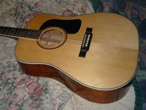 Washburn D10S