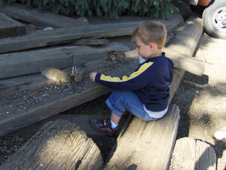 Tristan feed the chipmunks at St. Elmo Co.