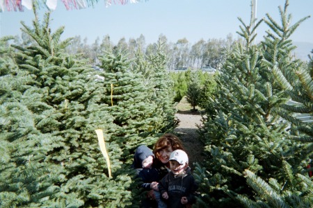Christmas tree lot with Jack and Sam