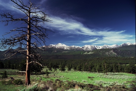 Distant View of Long's Peak