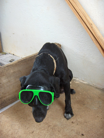 Lucy preparing for a beach trip