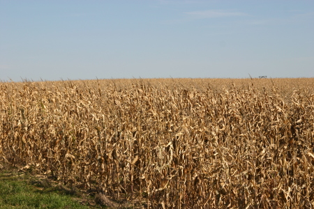 Nebraska