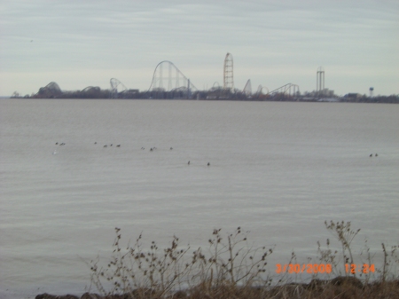 Cedar Point Where I worked in 1990