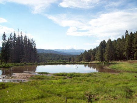 Beaver Pond