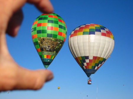 2008 Albuquerque Balloon Festival