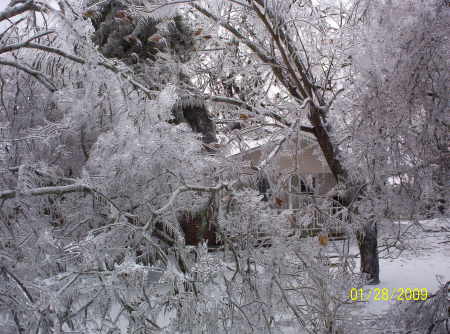 After the icestorm......heavy potatoes!!!!!