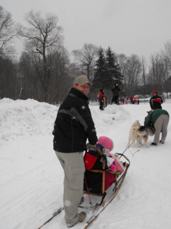 dogsleddin