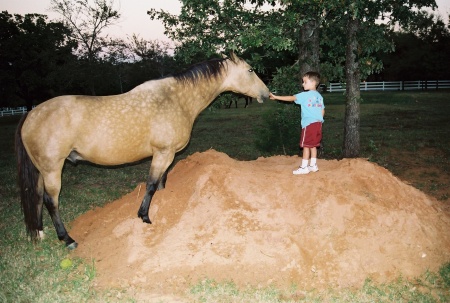 Horse Play