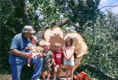 Large tree