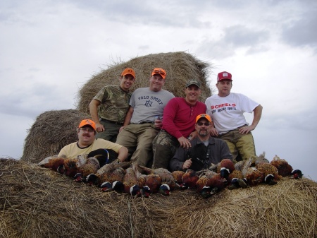 Pheasant hunting, Miller, South Dakota