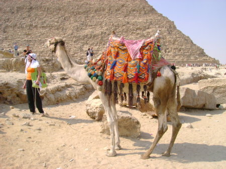 Egypt 2008