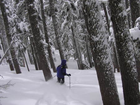 Willamette Pass Powder Skiing 3/8/09