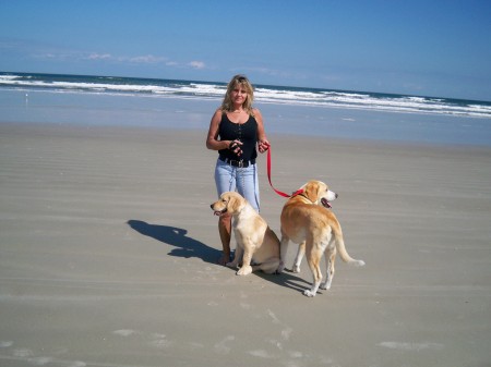 Day at the beach with dogs....