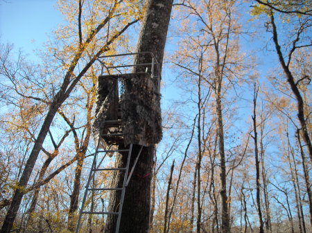 Big boys have tree houses too!