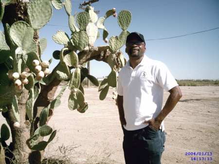 Arizona Home 2009