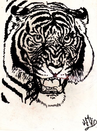 tiger