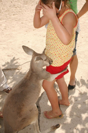 Lisa being mugged by a kangaroo