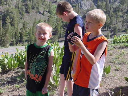 My three sons in the Sonora pass