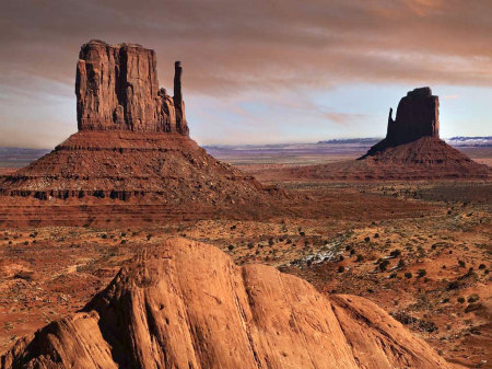 AZ Desert landscape