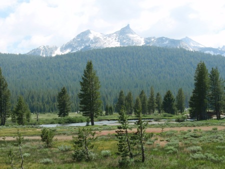 Sierra peaks on south side of Tuolumne Meadows