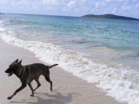 With our German Shepherd "Sam" at Beach