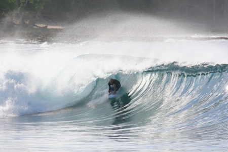 Surfing Indonesia this past year