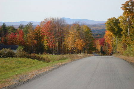 The road to our home in Maine!