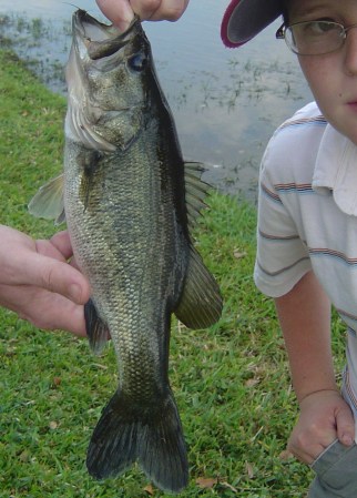 My Boy's first Bass - 5lb5oz  summer 2008