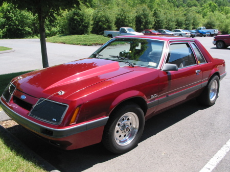 79 GT Mustang