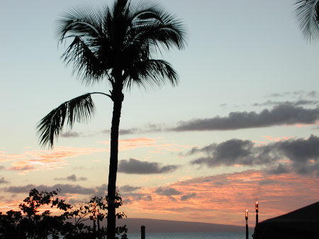 Sunset in Maui