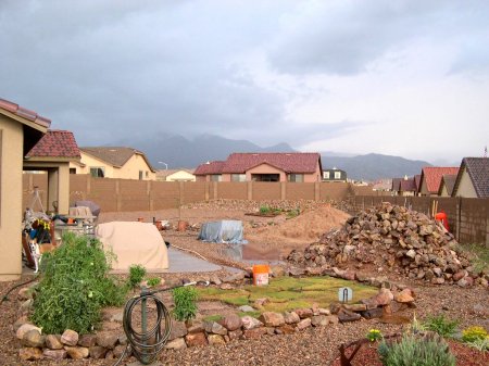 Back yard after rain storm