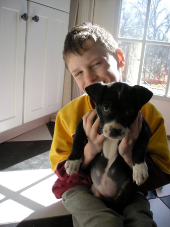 A Boy and His Dog