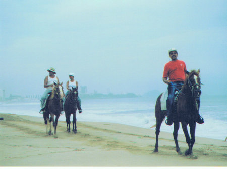 horse backriding