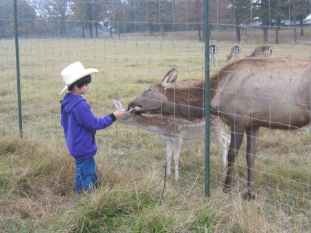 He  loves animals (fenced in)haha