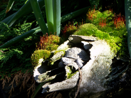 Mossy Moose skull