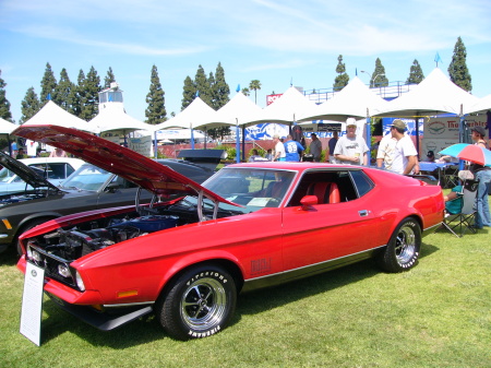 71' Mach I Mustang