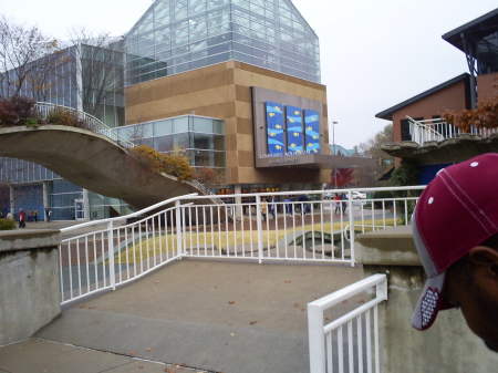 Tennessee Aquarium trip 11/2008