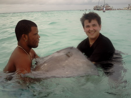 Hunter stingray swim