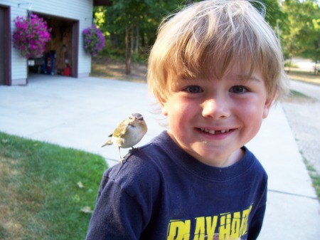 Desmond and a bird that hit a window