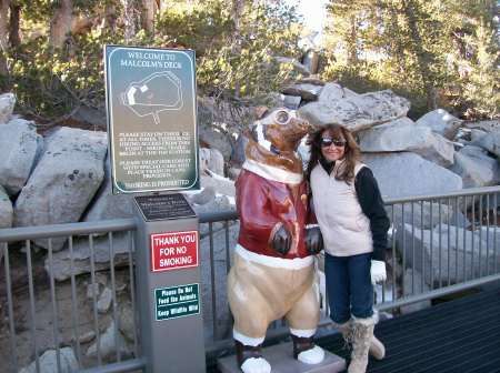 Hangin out in Lake Tahoe