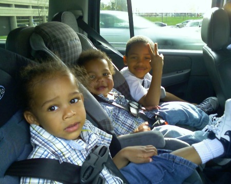 zavier, jo, davion 2008