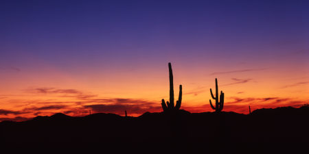 Arizona Sunset