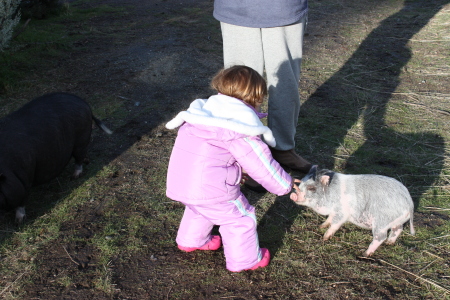 Kate feeding piglet, Lacy.