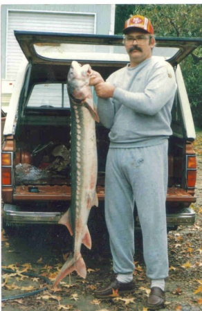 Sturgen from Sacramento River  1990