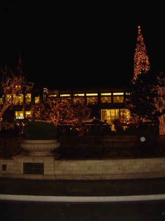 tree lighting 2008 005