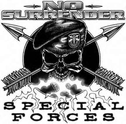 3rd special forces group