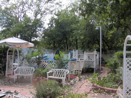 Backyard 2007