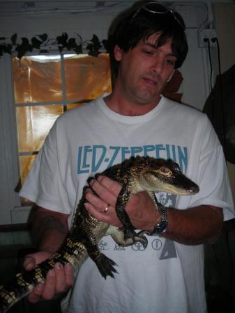 Baby Gator