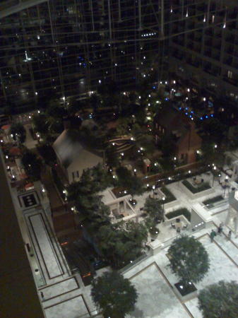View from the 16th floor